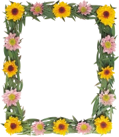 WEBP