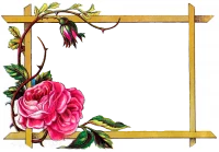 WEBP