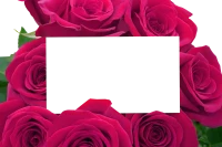WEBP