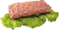 WEBP