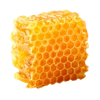 WEBP
