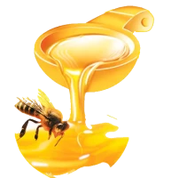 WEBP
