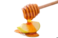 WEBP