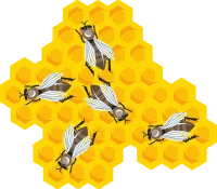 WEBP