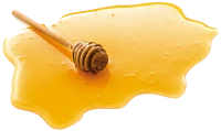 WEBP
