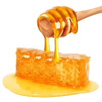 WEBP