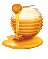 WEBP