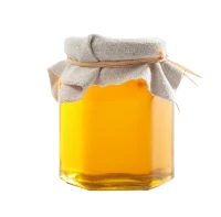 WEBP