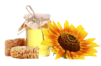 WEBP