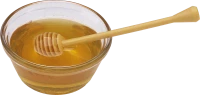 WEBP