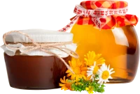 WEBP