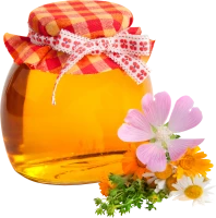 WEBP