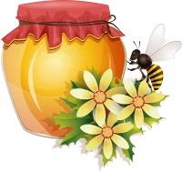 WEBP
