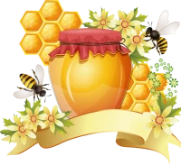WEBP