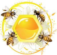 WEBP