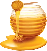 WEBP