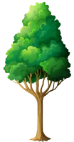 WEBP