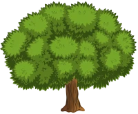WEBP