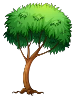 WEBP