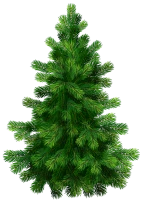 WEBP