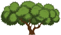 WEBP