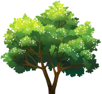 WEBP