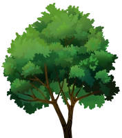 WEBP