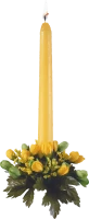 WEBP