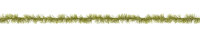 WEBP
