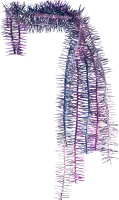 WEBP
