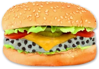 WEBP