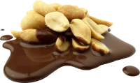 WEBP