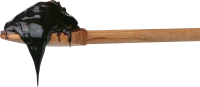 WEBP