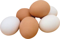 WEBP