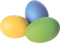 WEBP