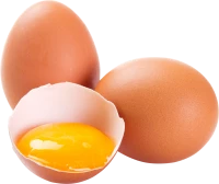 WEBP