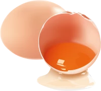 WEBP