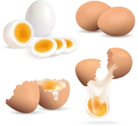 WEBP