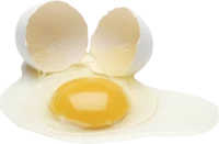 WEBP