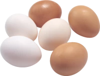 WEBP