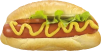 WEBP