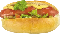WEBP