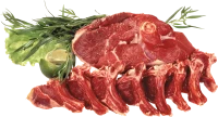 WEBP