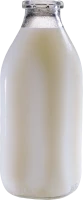 WEBP
