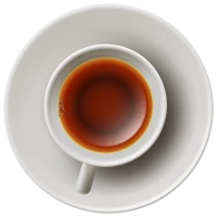 WEBP