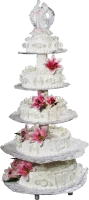 WEBP