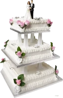 WEBP