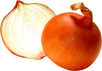 WEBP