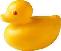 WEBP