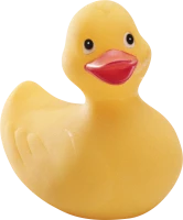 WEBP
